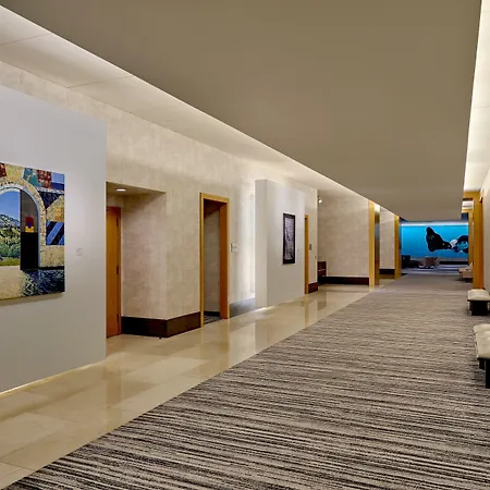 Loews Chicago O'Hare Hotel-2